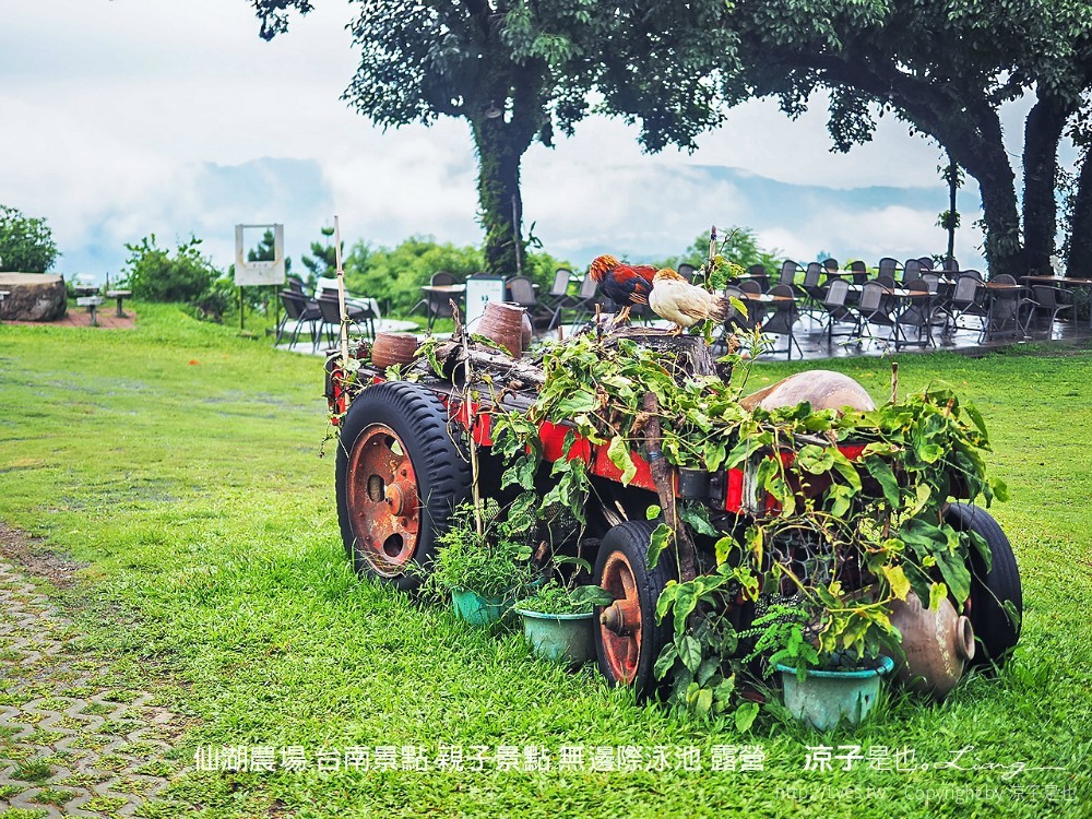 仙湖農場 台南景點 親子景點 無邊際泳池 露營