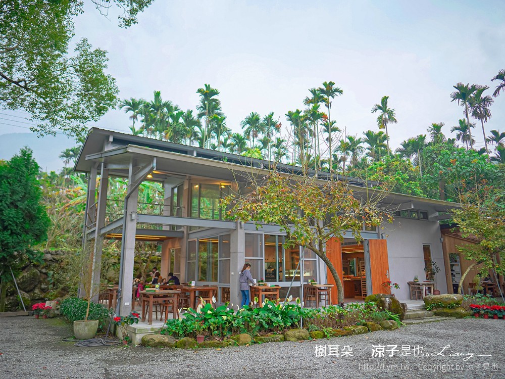 樹耳朵 菜單 台南關仔嶺 甜點咖啡館 景觀餐廳 白河 檸檬塔 假日限定 森林系