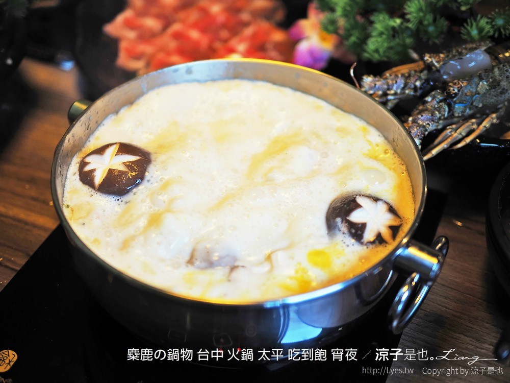 麋鹿の鍋物 台中 火鍋 太平 吃到飽 宵夜