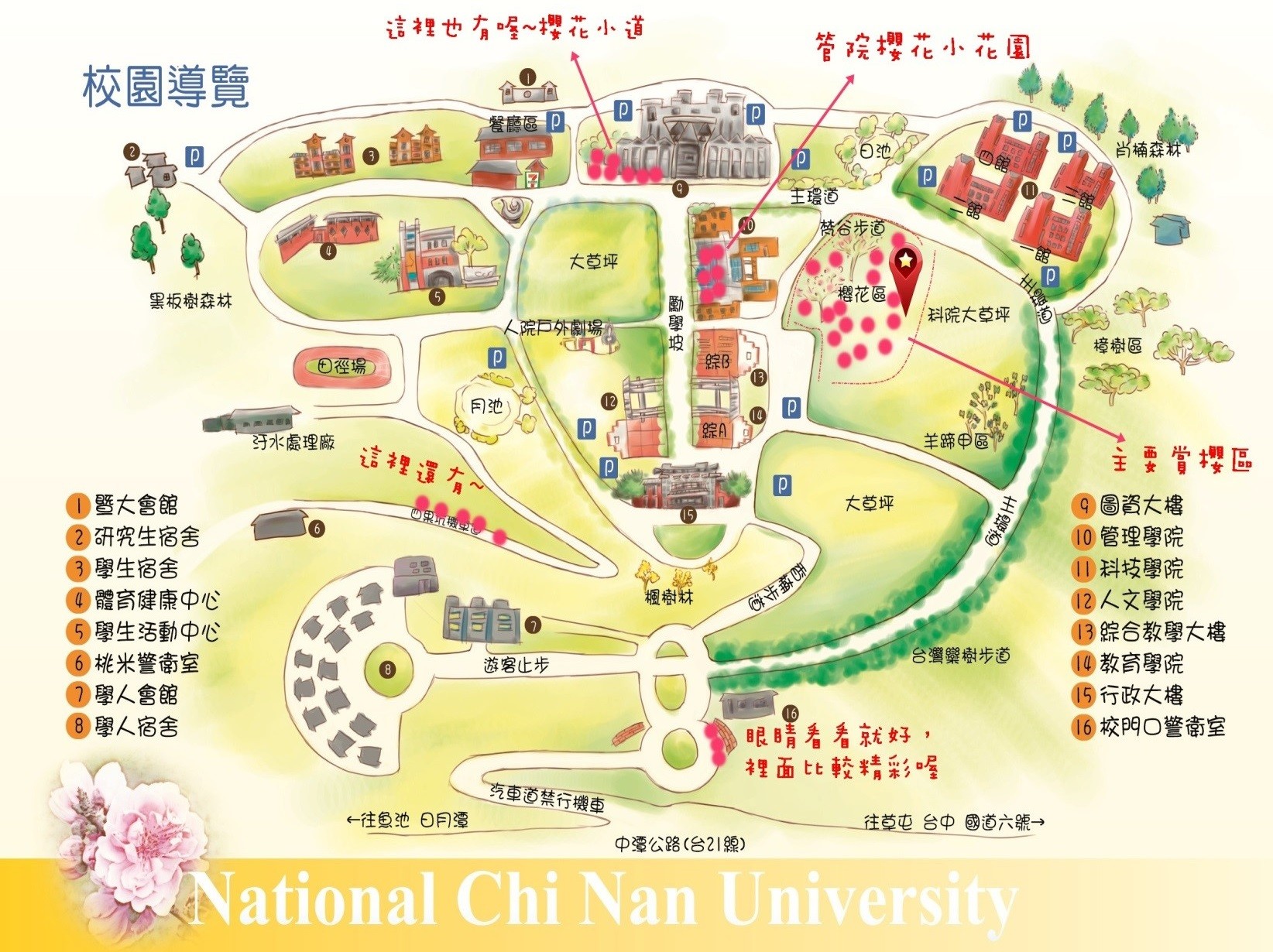 南投景點-暨南大學櫻花季 2021最新花況 埔里親子賞櫻兼野餐趣