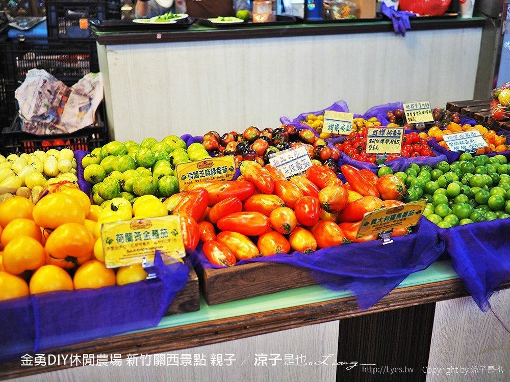 金勇DIY休閒農場 新竹關西景點 親子