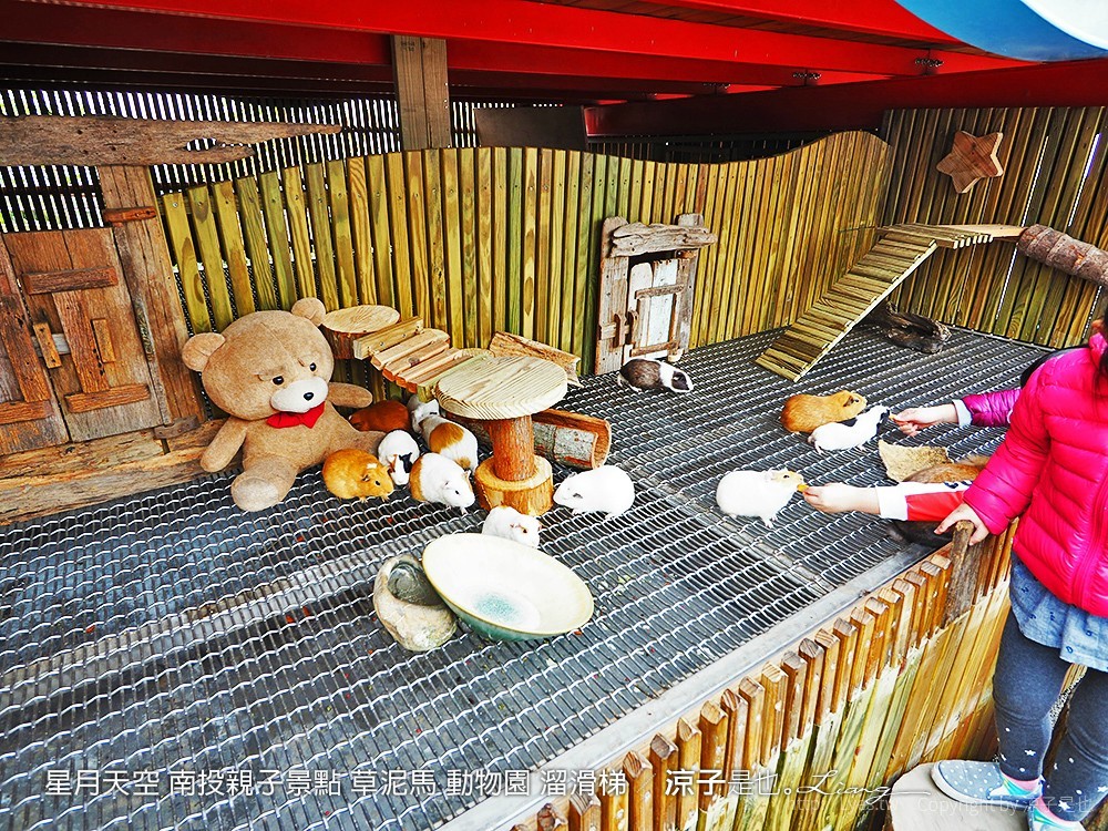 星月天空 南投親子景點 草泥馬 動物園 溜滑梯