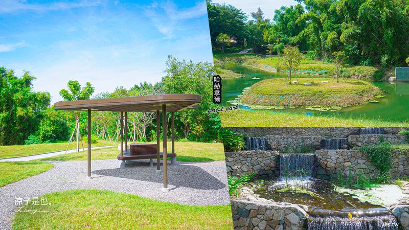 【台南】哈赫拿爾森林公園 生態豐富、滿滿綠意的森林公園 台南最新公園搶先看
