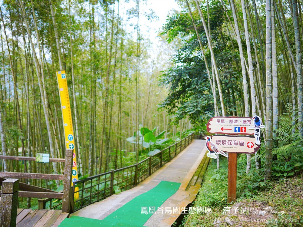 鳳凰谷鳥園生態園區 南投 親子景點 森林溜滑梯 賞鳥 DIY 鹿谷 步道 吊橋 瀑布