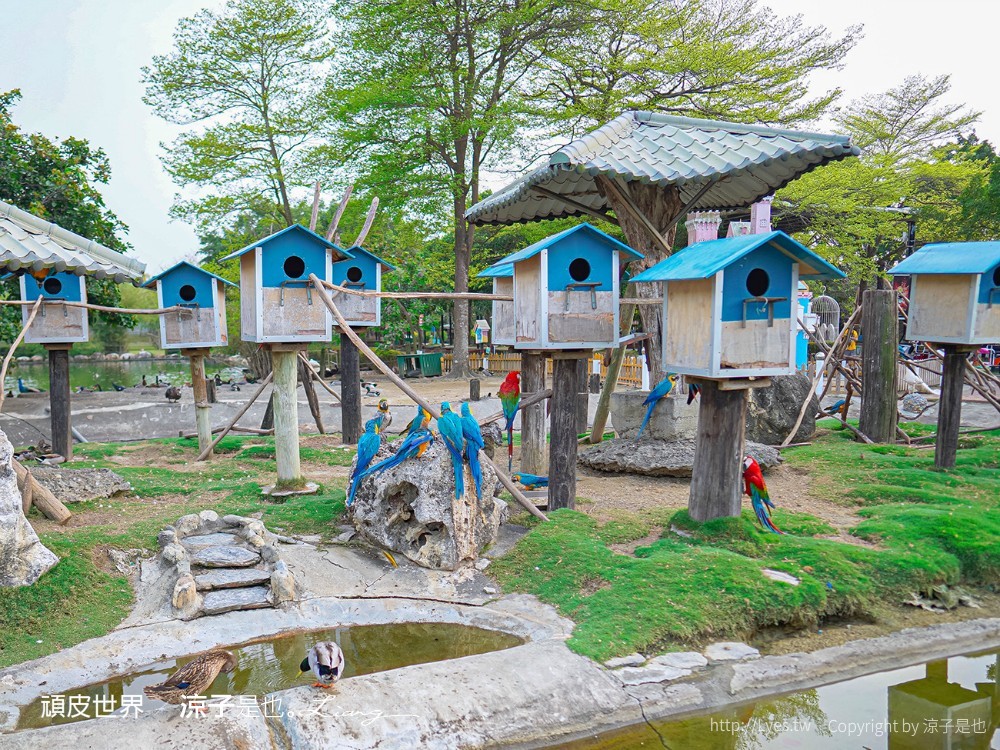 頑皮世界野生動物園攻略 門票優惠 台南親子景點 南台灣動物園 水豚君 長頸鹿 遊樂設施 戲水池