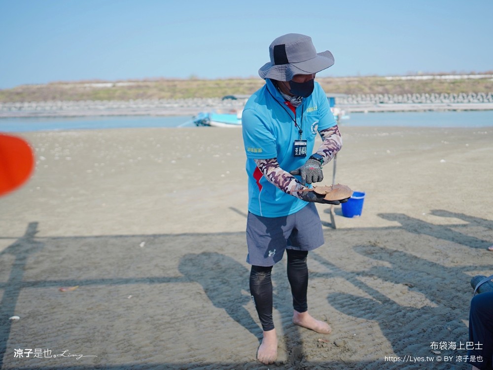 布袋海上巴士 嘉義親子景點 門票價格 蛋糕沙灘 網美拍照打卡 生態導覽