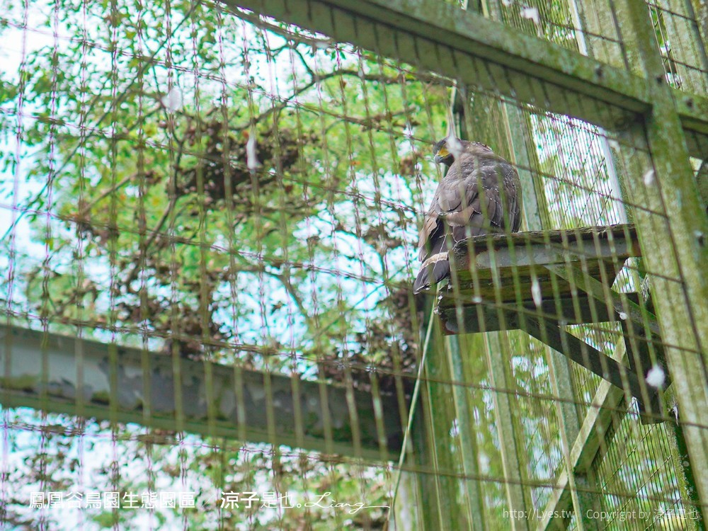 鳳凰谷鳥園生態園區