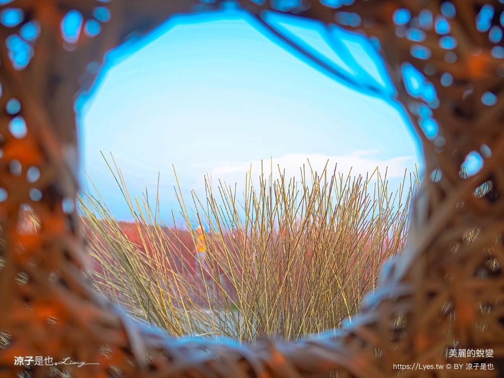 台南景點 七彩同心圓迷宮 ig打卡 開江紀 台江國家公園 鹿耳門 台南地景藝術 台江建庄二百年