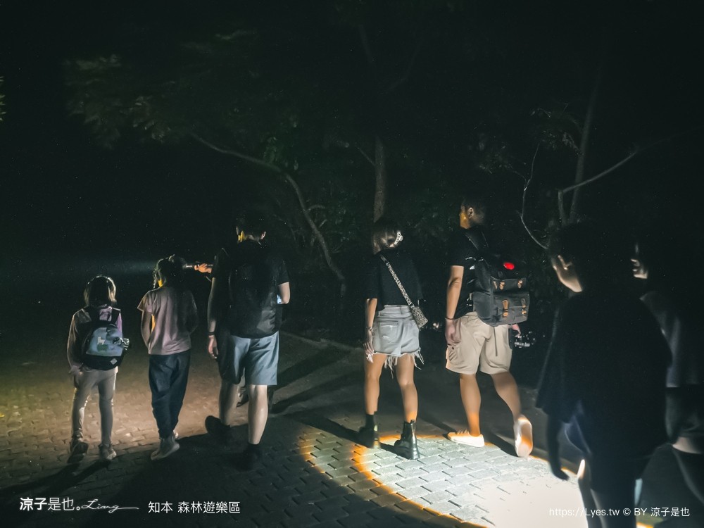 知本森林遊樂區 台東親子景點 夜探知森 夜間導覽 星象導覽 國家森林 台東景點 知本景點
