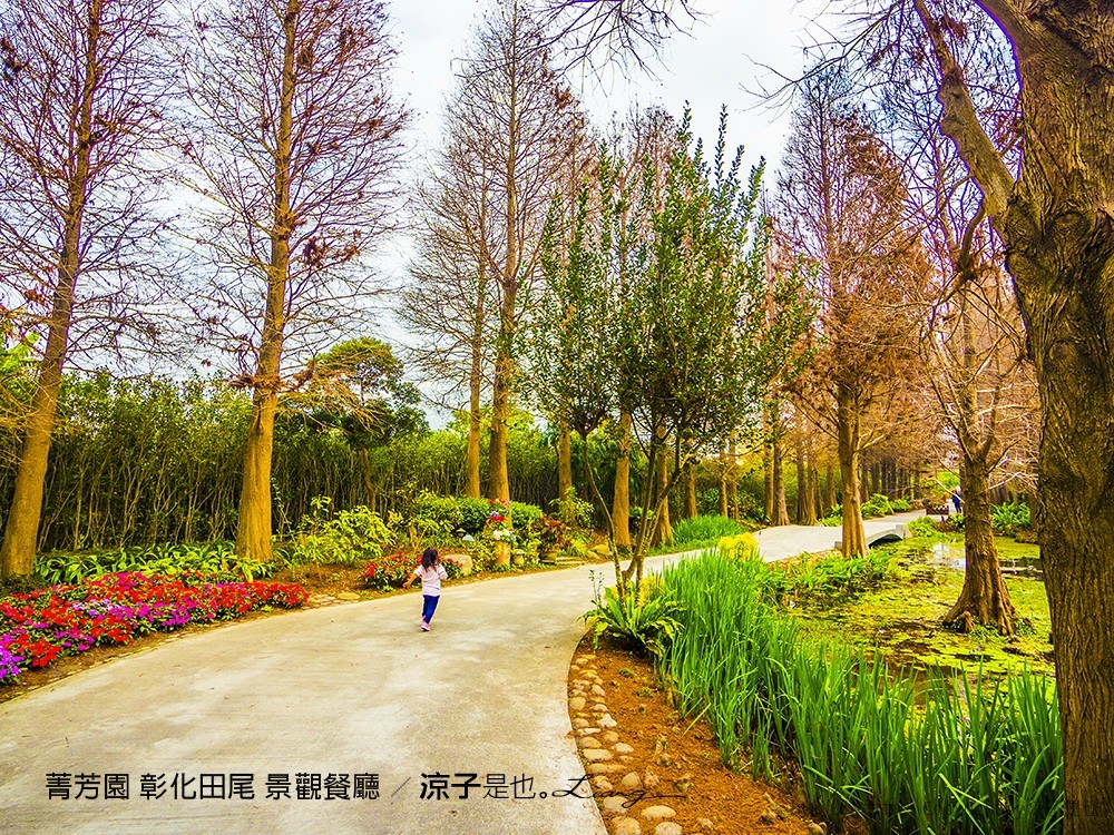 菁芳園 彰化田尾 景觀餐廳