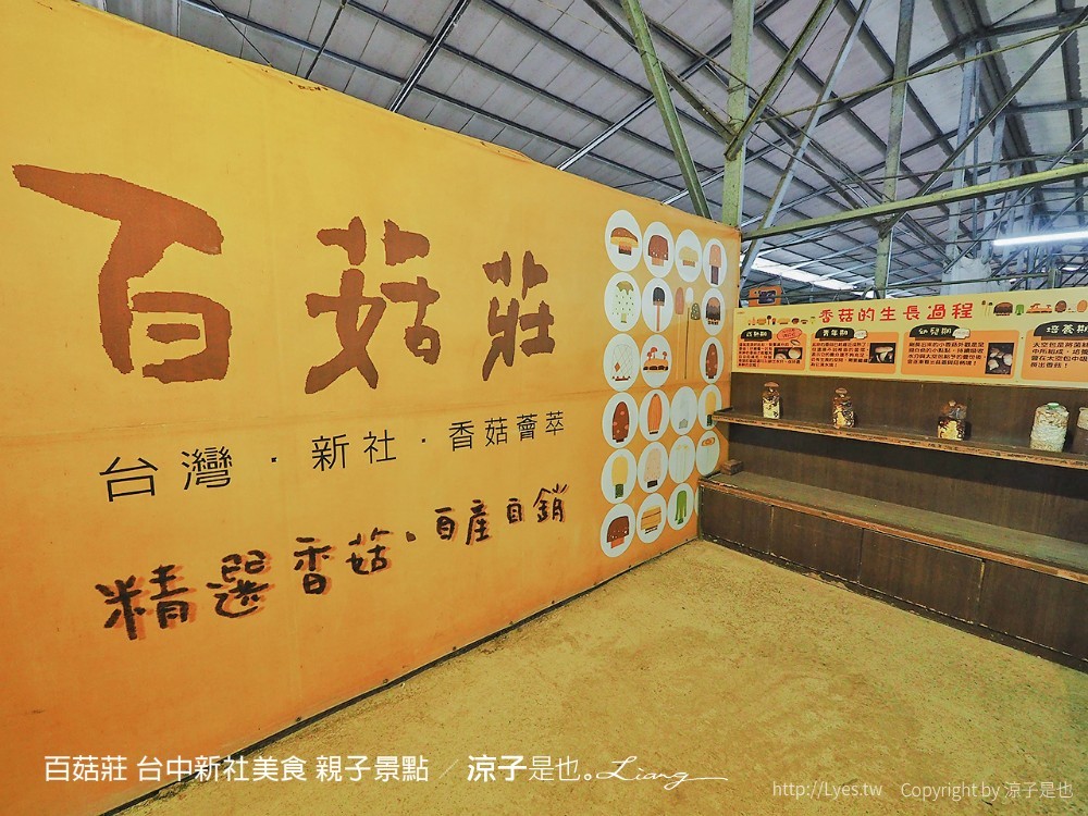 百菇莊 台中新社美食 親子景點