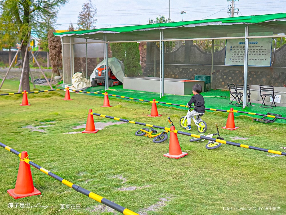 董家花田 菜單 門票 景點 彰化景點 田尾景觀餐廳 花海 戶外野餐 咖啡 交通