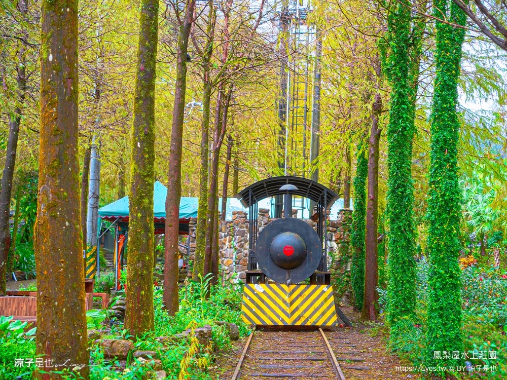 鳳梨屋水上莊園 宜蘭景點 一日遊 鳳梨屋門票 戲水池 動物園 水豚君 網美景點 水簾鞦韆 鳳梨泳池 餵羊 宜蘭豪華懶人露營 Villa 網美景點