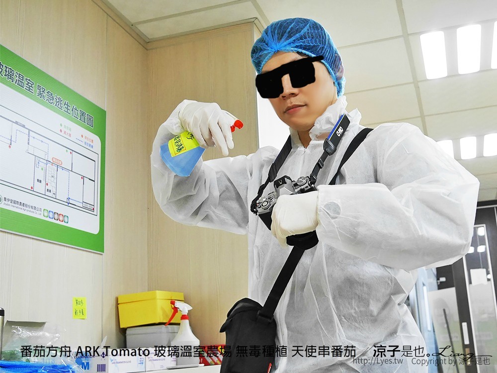 番茄方舟 ARK Tomato 玻璃溫室農場 無毒種植 天使串番茄