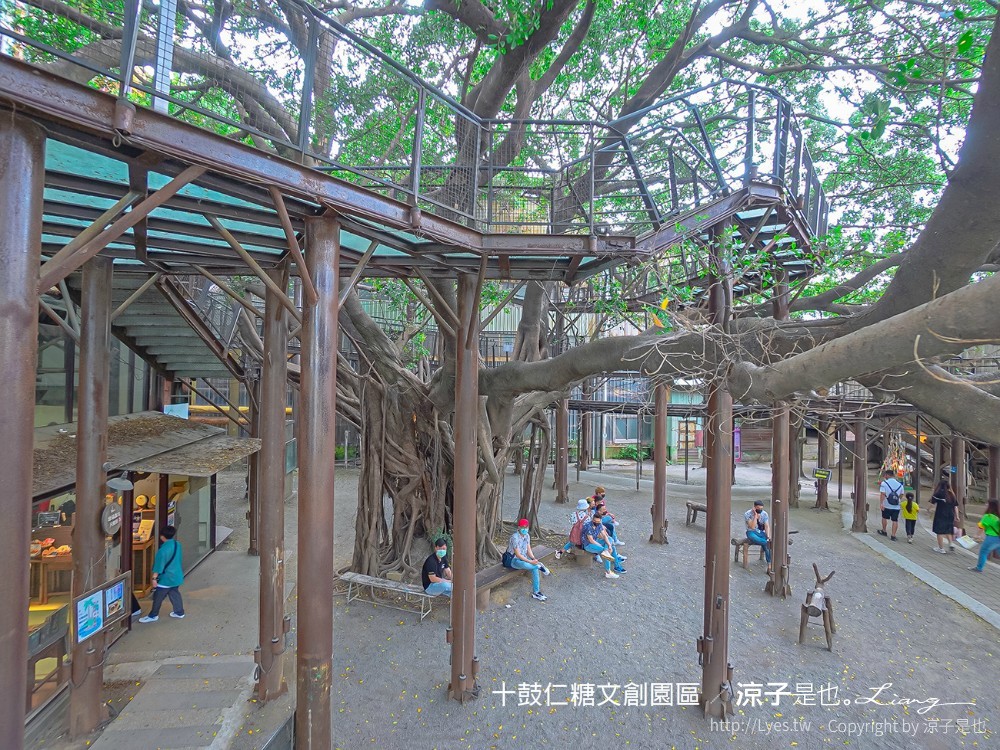 十鼓文創 十鼓仁糖文創園區 台南景點 台南親子景點 門票 交通 必玩必拍 親子設施 美食餐廳 活動場次