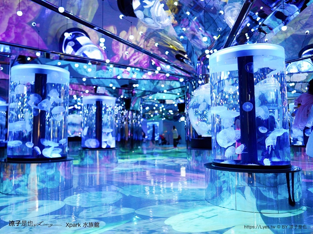 xpark水族館 門票優惠 桃園 親子景點 最新攻略 必看展區 美食餐廳 交通 停車 住宿
