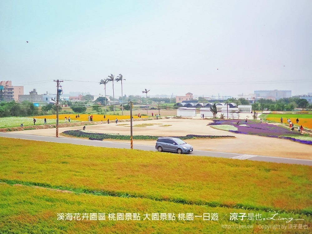 溪海休閒農業區 溪海花卉園區 桃園景點 大園景點 桃園一日遊