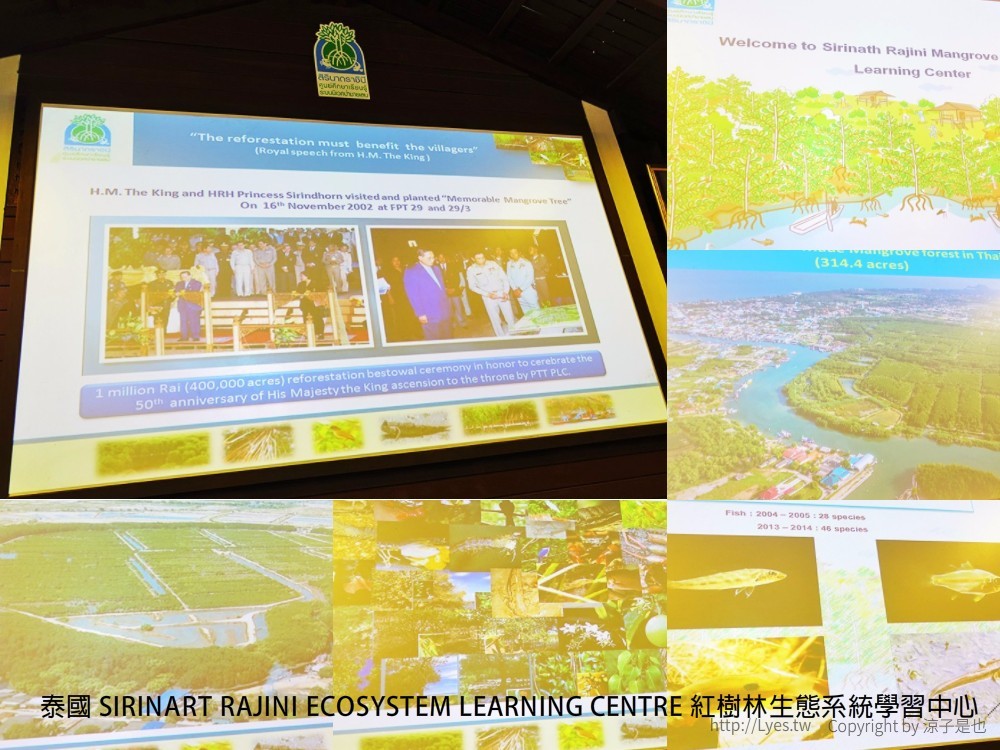 泰國 SIRINART RAJINI ECOSYSTEM LEARNING CENTRE 紅樹林生態系統學習中心