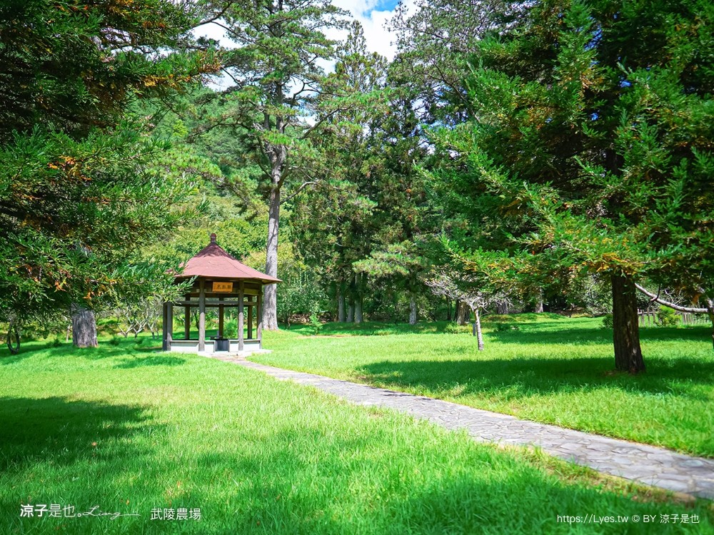 福壽山農場 民宿房型 住宿 露營 賞楓