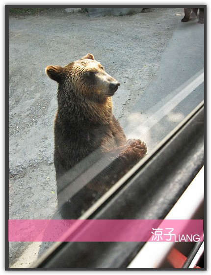 愛寶樂園(動物篇)15