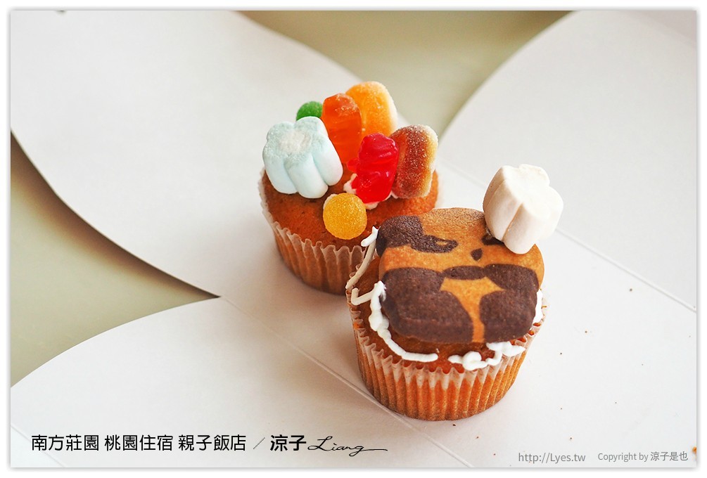 桃園親子住宿推薦-南方莊園渡假飯店 可以泡湯、游泳、風景很美、設施又超多的桃園親子飯店(美人魚房型、環境設施篇)