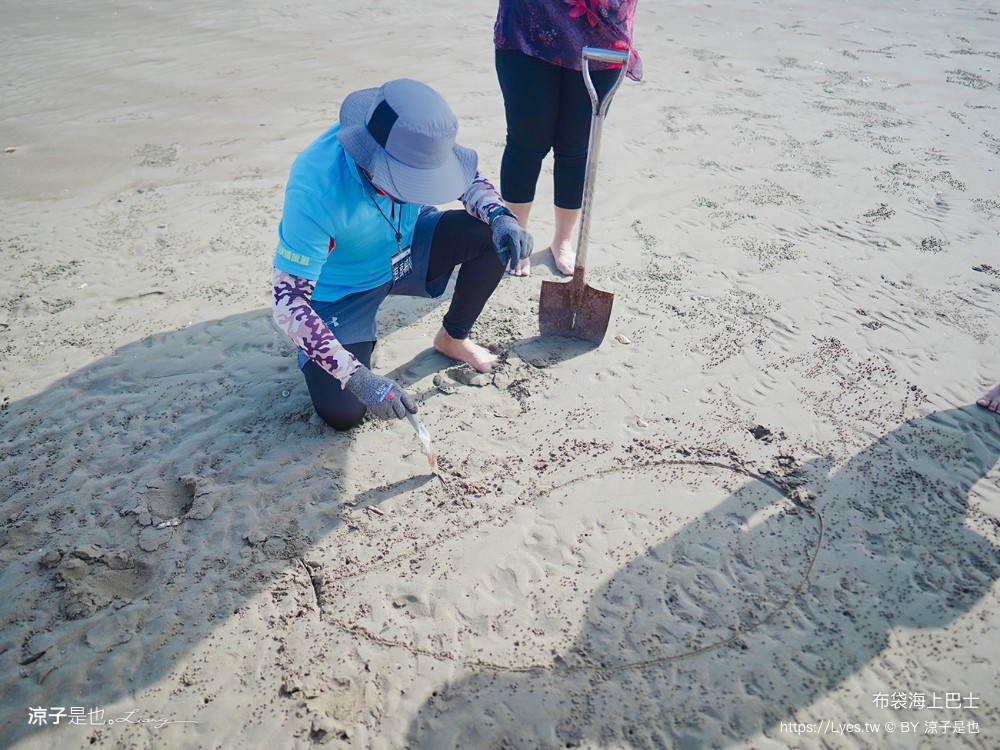 布袋海上巴士 嘉義親子景點 門票價格 蛋糕沙灘 網美拍照打卡 生態導覽