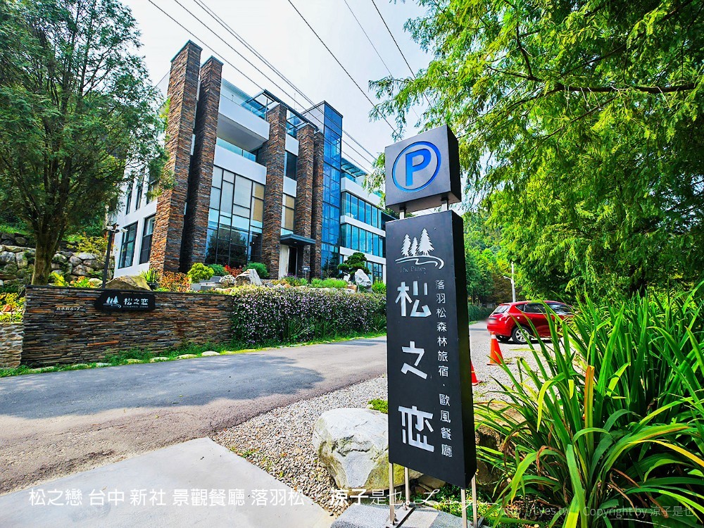 松之戀 台中 新社 景觀餐廳 落羽松