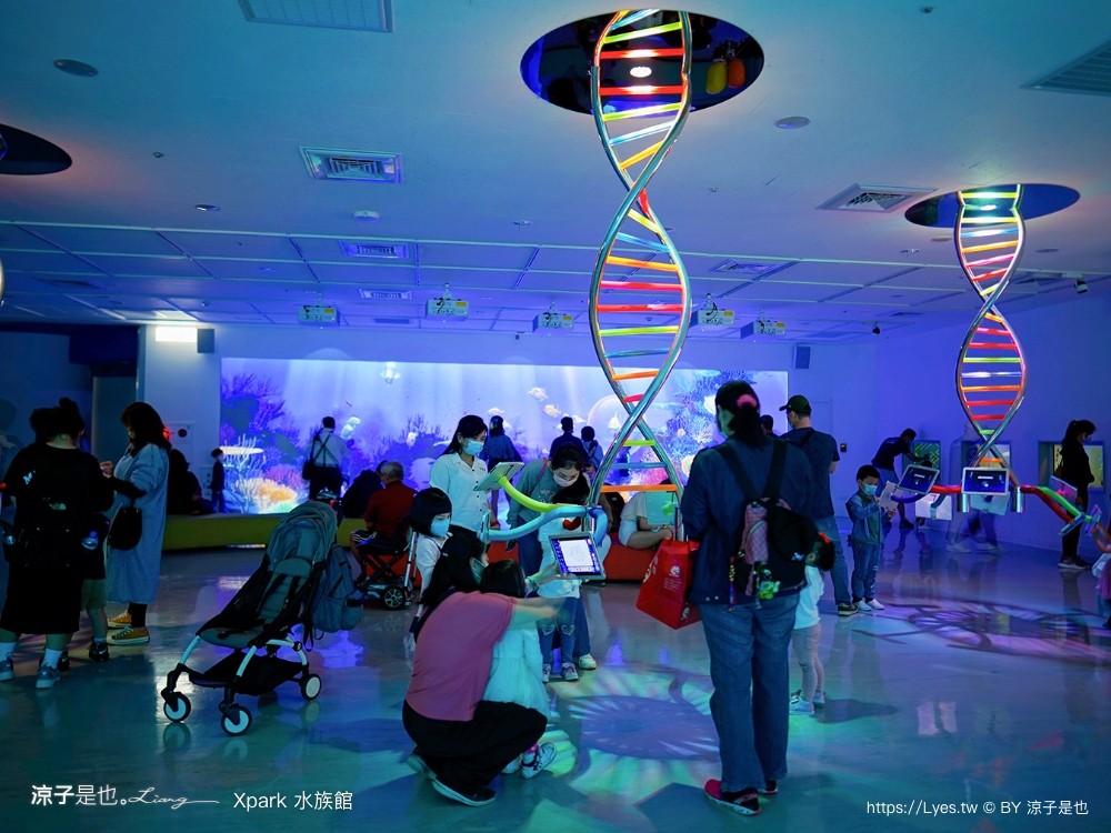 xpark水族館 門票優惠 桃園 親子景點 最新攻略 必看展區 美食餐廳 交通 停車 住宿