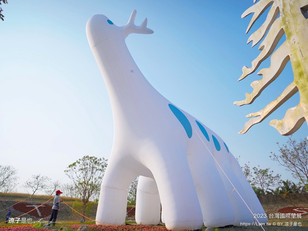 台灣國際蘭展 門票 2023時間 台南景點 魔境 恐龍 親子diy 必看亮點 台南限定蘭花