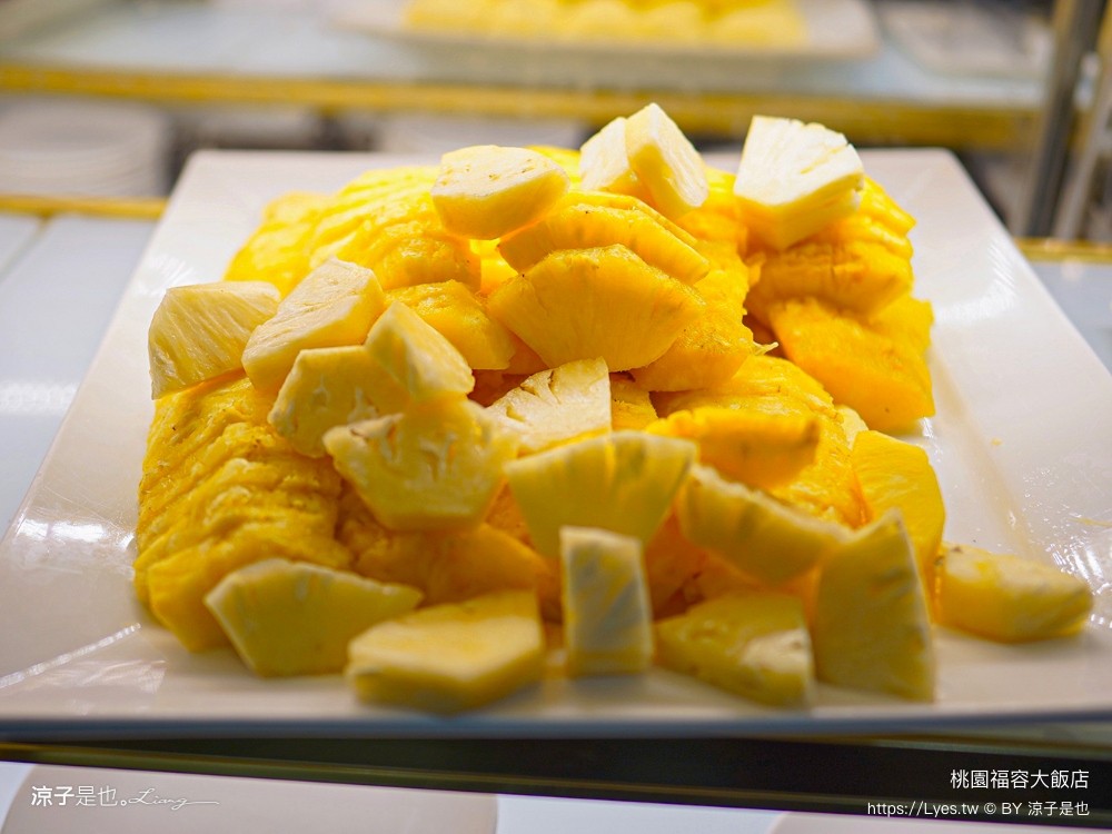 福容大飯店 桃園 飯店設施 游泳池 一泊二食 早餐 交通 xpark 住房優惠專案 房型 健身房 桃園住宿推薦