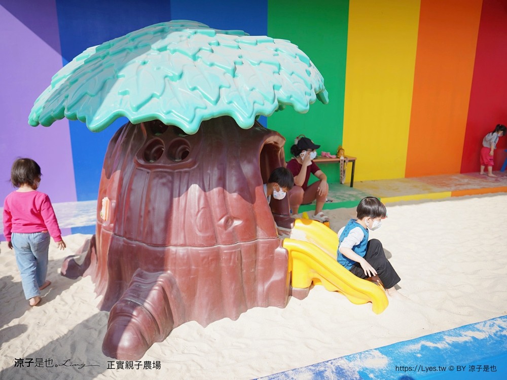 正實親子農場 門票 彰化 親子景點 撿雞蛋 氣墊樂園 溜滑梯 免費 餵小動物體驗 沙坑