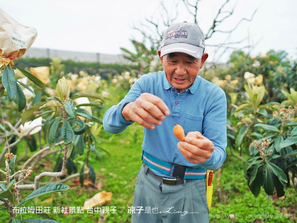 布拉姆田莊 新社景點 台中親子景點 新社美食 親子DIY 台中景點 台中親子景點 DIY活動