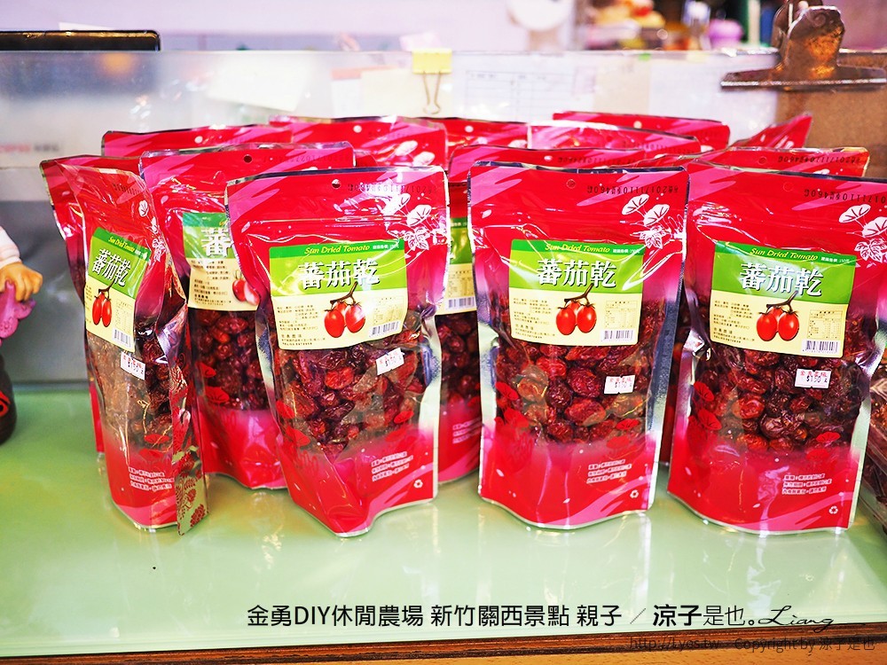 金勇DIY休閒農場 新竹關西景點 親子