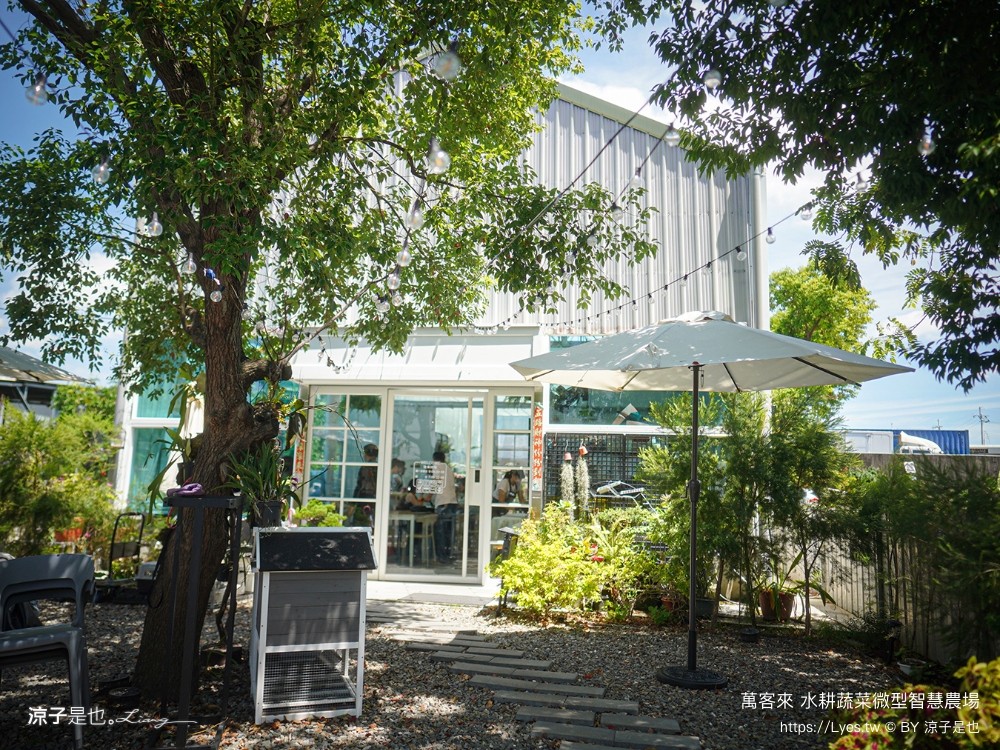 萬客來水耕蔬菜微型智慧農場 菜單 台南餐廳 台南美食 玻璃屋餐廳 台南景觀餐廳 早午餐