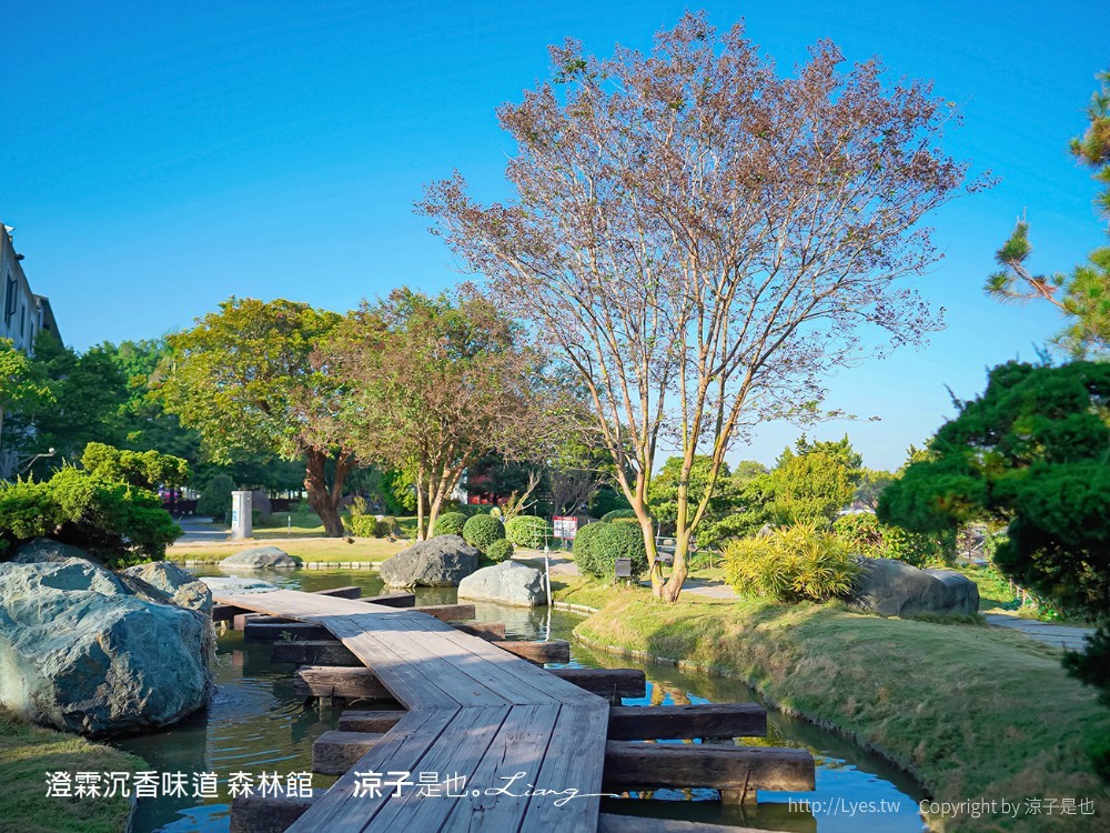 澄霖沉香味道森林館 雲林景點 愛心落羽松 湖畔步道 水之教堂 台版兼六園
