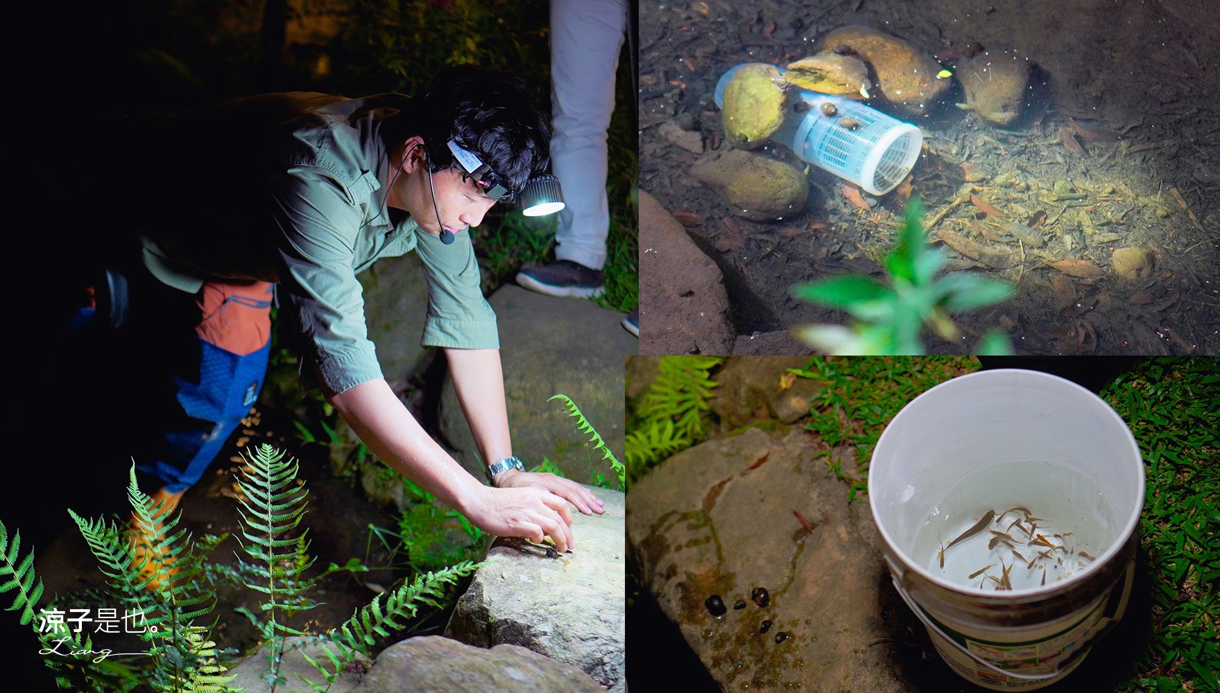 埔里住宿 水泥角生態民宿 南投埔里民宿 包棟民宿 生態導覽 房型 早餐 晚餐 桃米親水公園住宿 一泊二食