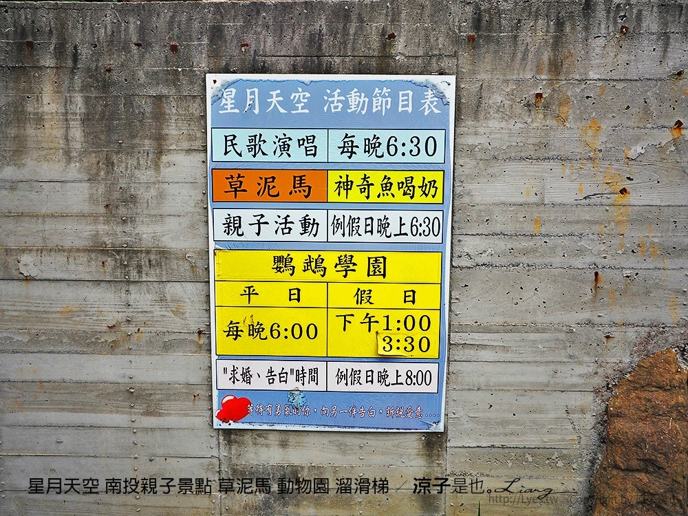星月天空 南投親子景點 草泥馬 動物園 溜滑梯