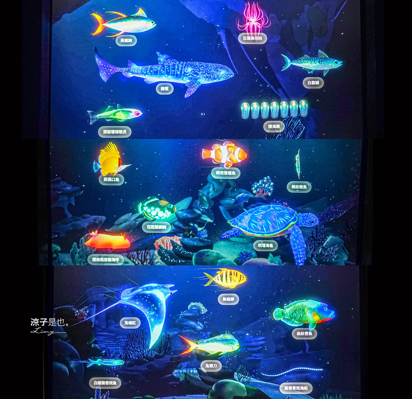 台中海洋館 門票優惠 交通 八大展區 免費票 台中親子景點 台中景點推薦 懶人包 攻略 必看特色