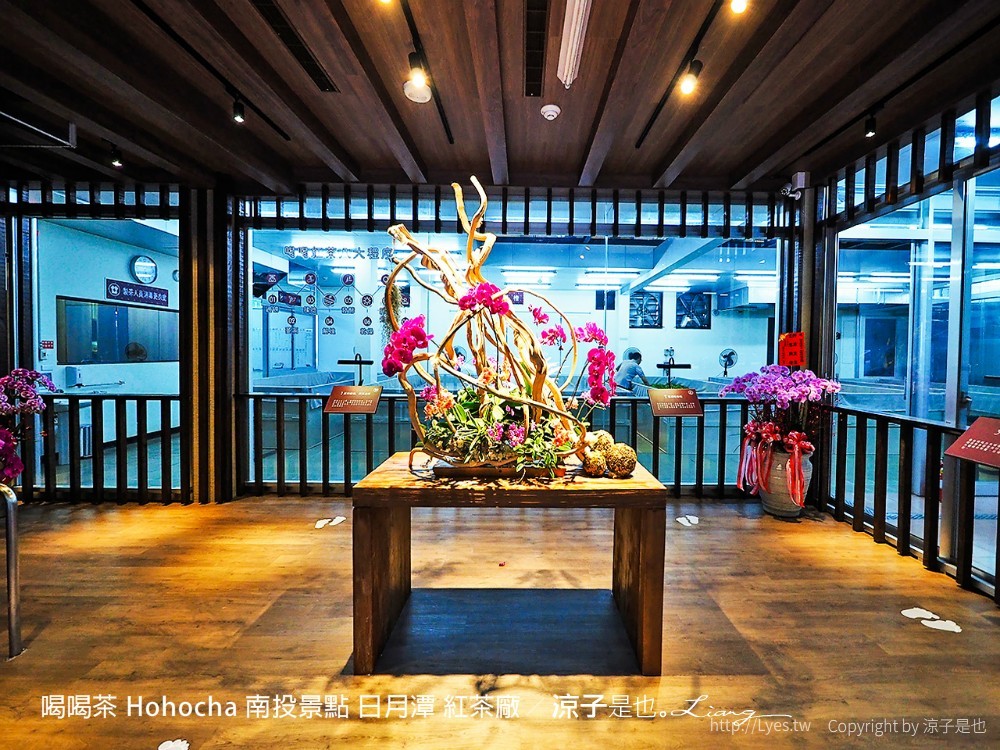 喝喝茶 hohocha 南投景點 日月潭 紅茶廠