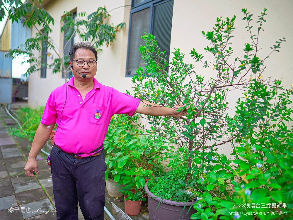 2023 浪漫台三線藝術季 台中東勢 接駁車 預約 開幕 falabidbog花啦嗶啵 東勢旅遊 美食 台北 桃園 新竹 苗栗