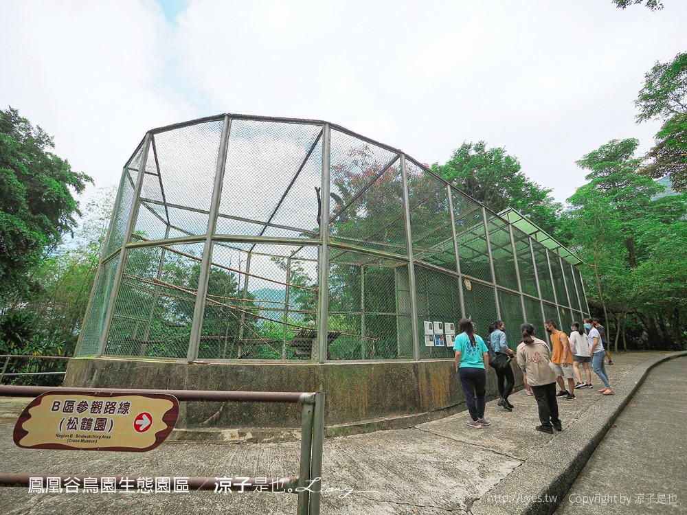 鳳凰谷鳥園生態園區 南投 親子景點 森林溜滑梯 賞鳥 DIY 鹿谷 步道 吊橋 瀑布