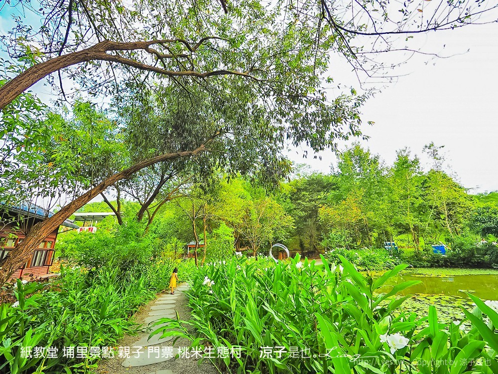 紙教堂 埔里景點 親子 門票 桃米生態村