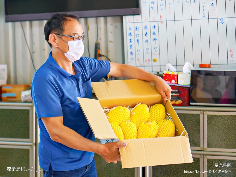 星光 親子景點 免費採果活動 台南農場 台南露營 diy 採芒果體驗 自然的鬥士