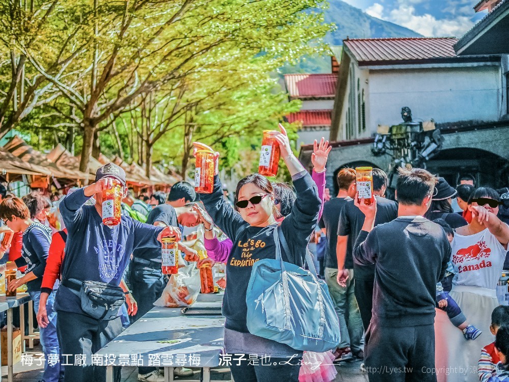 梅子夢工廠 南投景點 踏雪尋梅