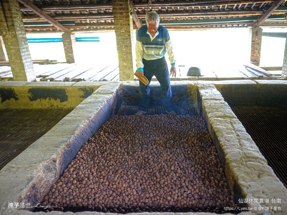 仙湖農場 仙湖休閒農場 住宿房型 台南民宿 早餐 餐廳 菜單 無邊際泳池 小動物 親子飯店 台南景點 龍眼