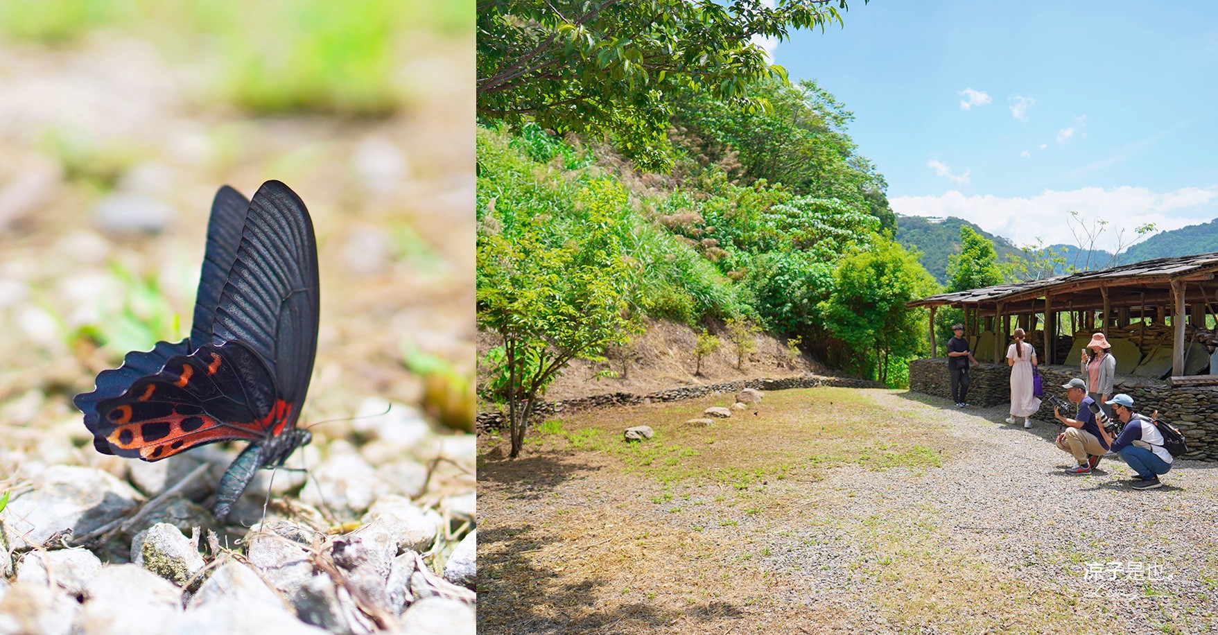 南投仁愛景點 東岸部落一日里山生活體驗 費用 賽德克族傳統文化生活 賽德克文化生態方舟 獵人證手作體驗 跟著蝴蝶去旅行