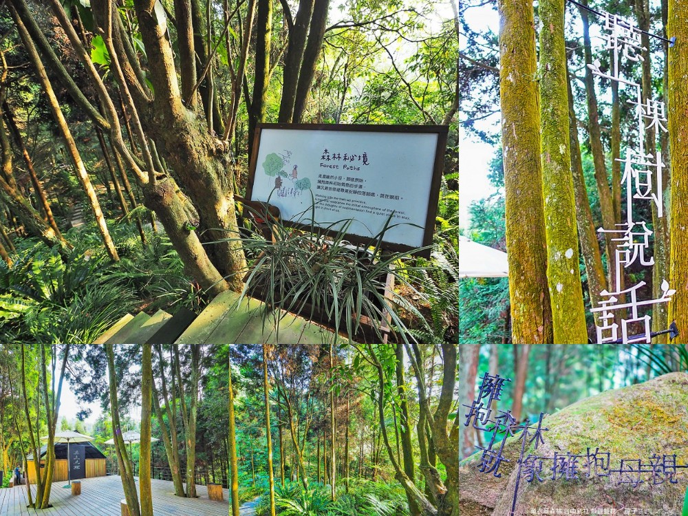 台中新社-薰衣草森林(附菜單) 2020薰衣草節「森林派對」紫色花海好夢幻 森林旋轉木馬是小朋友最愛啊