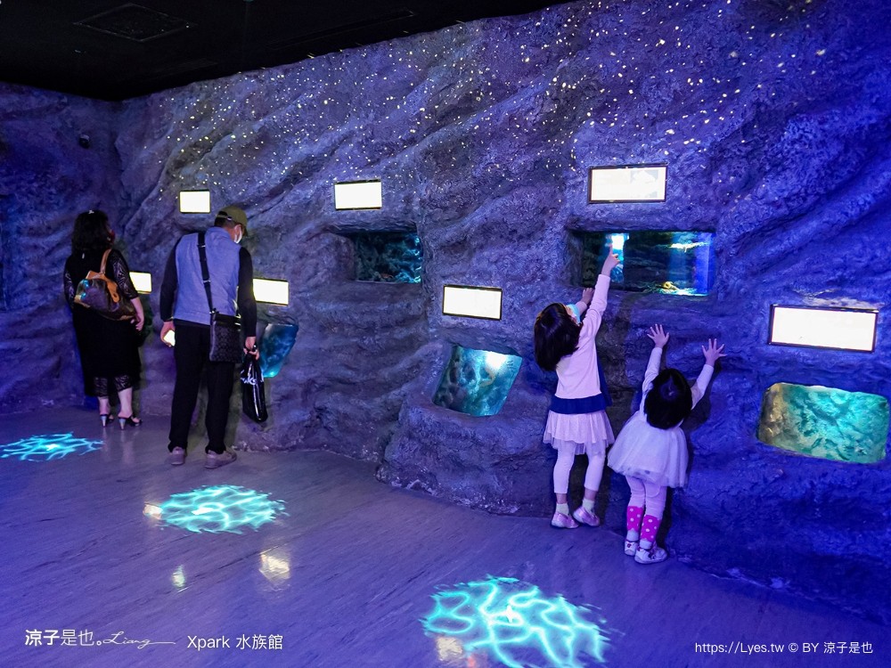 xpark水族館 門票優惠 桃園 親子景點 最新攻略 必看展區 美食餐廳 交通 停車 住宿