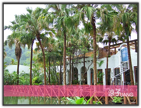 泓品 三義 棕櫚泉22