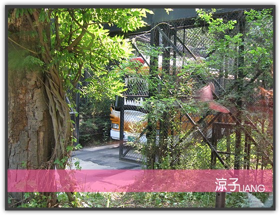 愛寶樂園(動物篇)06